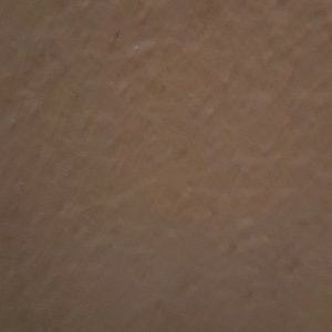 Meet your Posher, Phillip